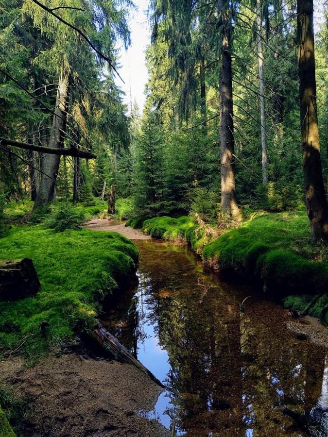 Paseky - Jablonec nad Nisou